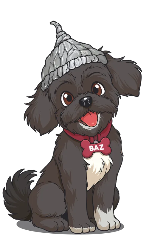 Cartoon illustration of a black fluffy dog with a white chest, wearing a crumpled tinfoil hat and a red collar with a bone-shaped tag.